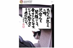 バズるためSNSで反応されやすい猫の写真を添えるように。籔本さんのお子さんの誕生日に投稿した1枚。「私に相談をしてくれる方のなかには自信をなくして“私なんて”という人が多いので、そんなことはないですよ、と言いたくて書いた1枚です」(籔本さんのインスタより)
