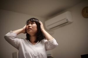 写真はイメージです