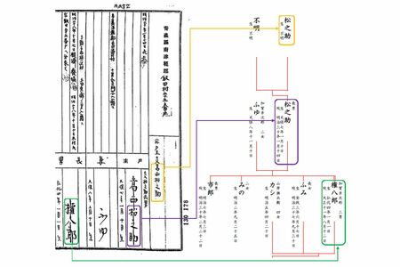 明治時代の手書きの戸籍から情報を得て家系図を作る渡辺さん。手書きの戸籍は読解が難しい場合も多く、その読み解き方には経験も必要だという