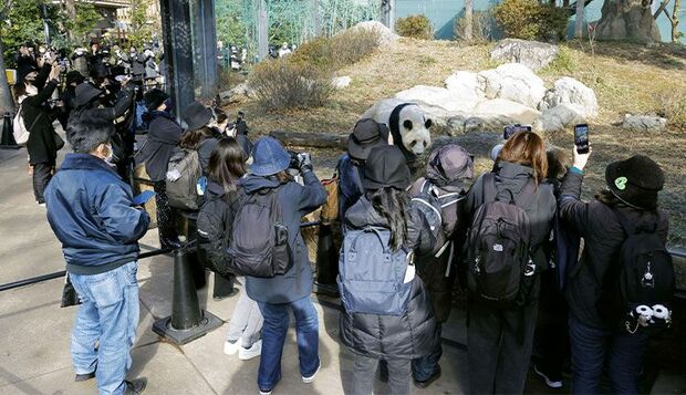 観覧時間1分の制限があるにもかかわらず、パンダ返還発表翌日に多くの人が押し寄せた（共同通信社）