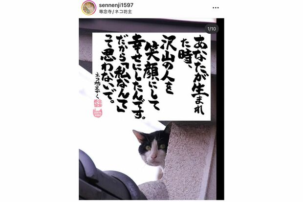 バズるためSNSで反応されやすい猫の写真を添えるように。籔本さんのお子さんの誕生日に投稿した1枚。「私に相談をしてくれる方のなかには自信をなくして“私なんて”という人が多いので、そんなことはないですよ、と言いたくて書いた1枚です」（籔本さんのインスタより）