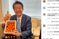 安倍晋三元首相、銃撃事件後のインスタグラムに羅列する《笑死了》呆れた中国語ヘイト