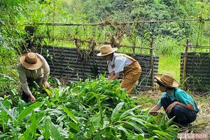 住まいを東京から実家のある大分に移した女優の財前直見さん