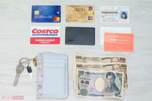 雑誌の付録をお財布として使用。現金は非常時用の2万円とキャッシュレスで支払いができないとき用の千円のみ。クレジットカード2枚とコストコのカード、非常事態用の連絡先一覧のメモなどを常時入れる。