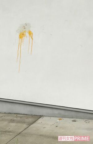 大家さん宅に投げつけられた生卵の跡