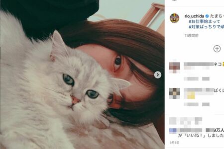 内田理央と愛猫（@rio_uchidaより）