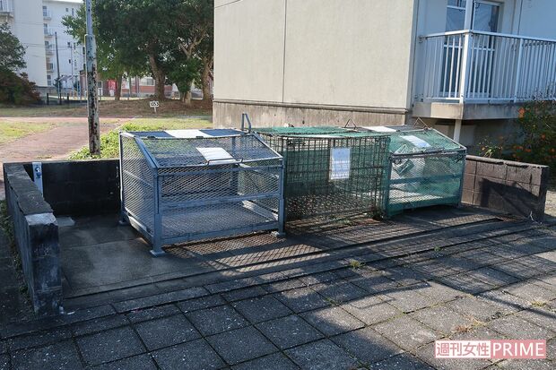 藍容疑者がゴミ出しトラブルを起こしていた自宅近くのゴミ集積所