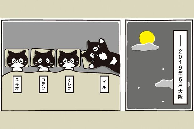 コミックエッセイ『マルとオレオ ふたりはなかよし』より