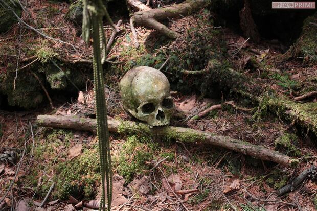 樹海内には自殺者の遺体が白骨化した状態で発見されることが多い