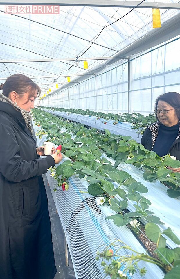 宝探しみたいで楽しかった～