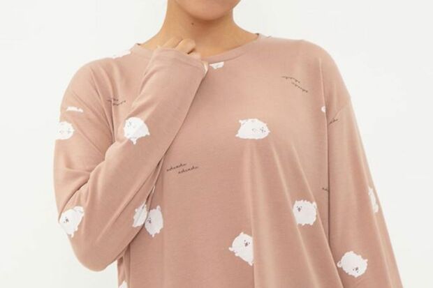 盗用疑惑がかけられた“ポメラニアン柄”のロングTシャツ（『チュチュアンナ』公式SNSより）