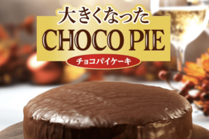 『大きくなったチョコパイ』（公式HPより）