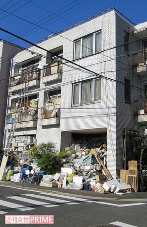 ゴミ屋敷の外観