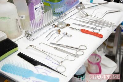 メスやピンセットなどの医療器具がずらり。メイク落としやシャンプーの日用品も並ぶ　撮影／齋藤周造