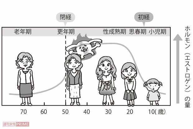 イラスト／藤井昌子