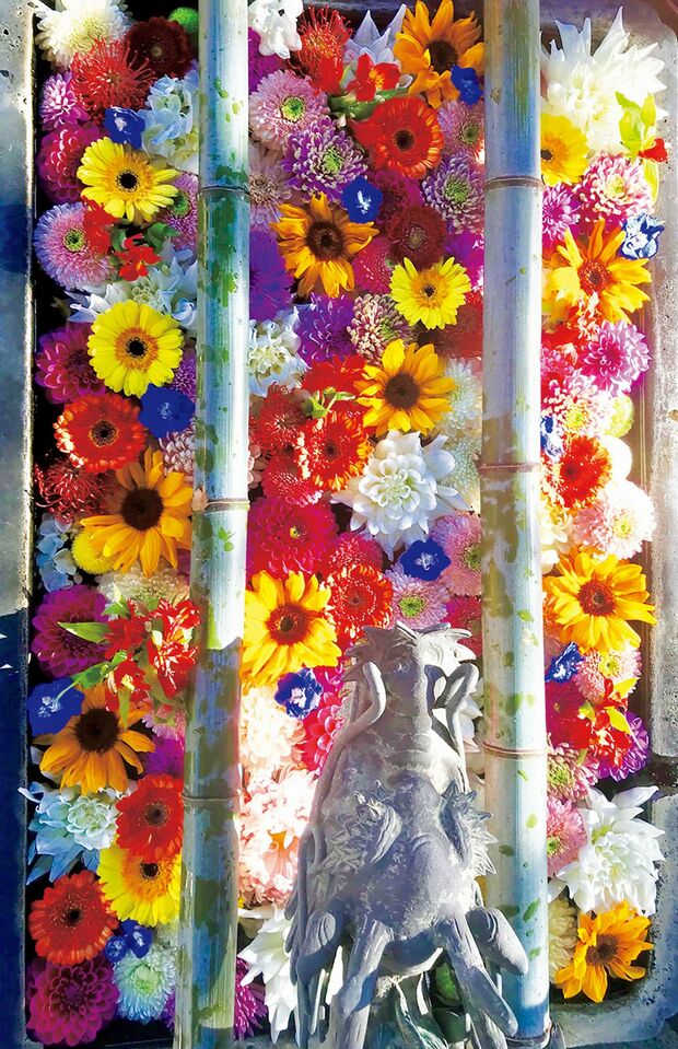 昨年の紅葉ウイーク。「大好きな蜷川実花さん風。ひまわり、ゼラフィニウム、ガーベラ、ダリアで」。インスタアップ後、蜷川本人がシェアしてくれたとか