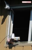 自宅マンション上層階の共有窓には、角度を変えた監視カメラを2台も設置していた