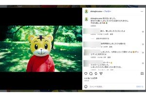 「色味のせいでホラー映画にしか見えなくて怖い」(『しまじろうのわお!』公式インスタグラムより)