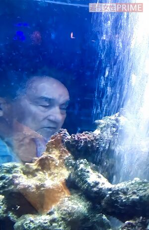 長年にわたって性加害行為を行ってきたジャニー喜多川氏。自宅マンションの水槽に映る姿は不気味（元ジャニーズJr.の被害者男性提供）