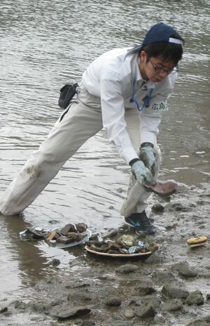 引き上げ作業をするときは手を切らないよう、革の手袋をして川底をさらう