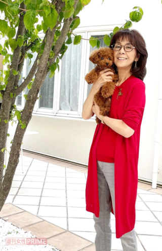 【ビビッドピンク×グレー】華やかなピンク色のアンサンブルもライトグレーのパンツと合わせて落ちついた印象に。パンツはユニクロ(撮影/伊藤和幸)
