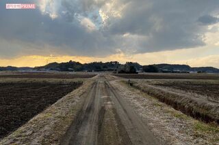 事件とほぼ同時刻に撮影した現場の農道。視界は開けている