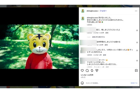「色味のせいでホラー映画にしか見えなくて怖い（笑）」（『しまじろうのわお!』公式インスタグラムより）