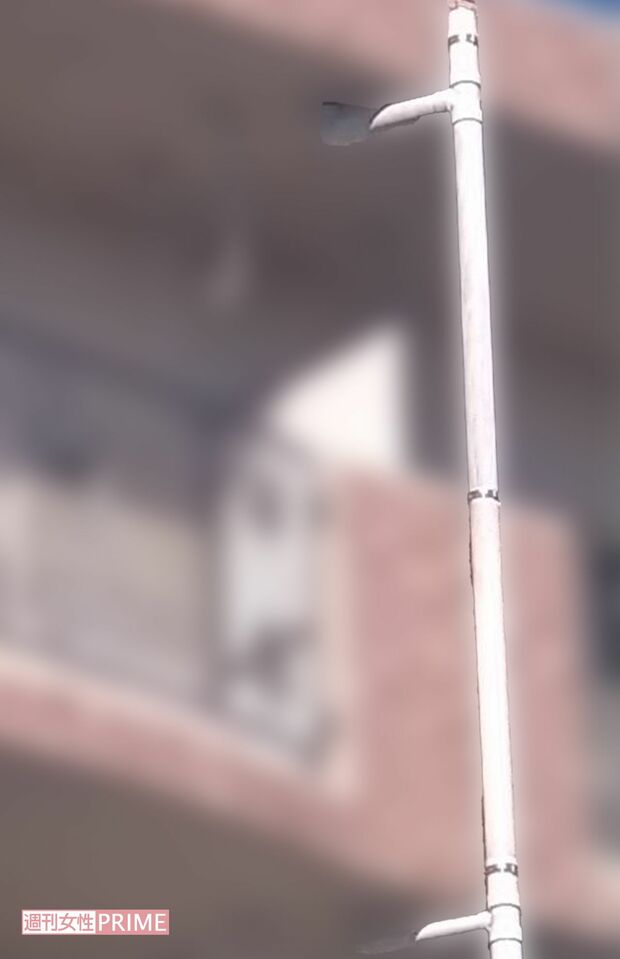 雨どいをよじ登って4階のベランダに侵入した容疑者。部屋の中で被害者が帰ってくるのを待ち構えていた