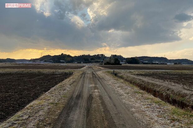 事件とほぼ同時刻に撮影した現場の農道。視界は開けている