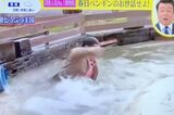 『スッキリ』で動物園内のペンギンがいる池に落ちるボケをする春日俊彰