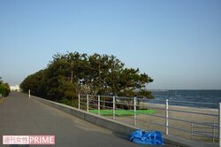 夜はカップル以外ほとんど人けがなくなる