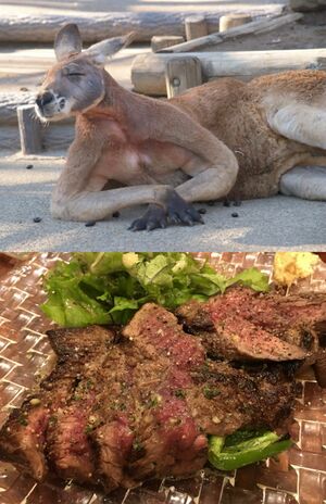 （写真下）非常に濃厚だけど、味は淡白、というカンガルー肉のステーキ（写真はイメージです）