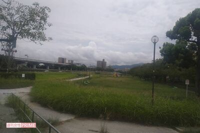 岡村親子が住む団地近くの空き地でホームレス生活をしていた辻和美容疑者