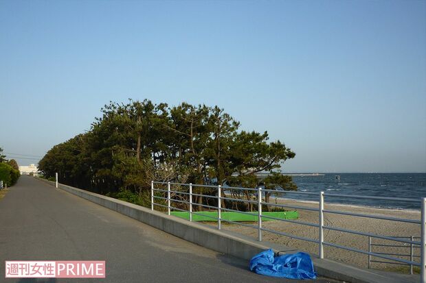 夜はカップル以外ほとんど人けがなくなる