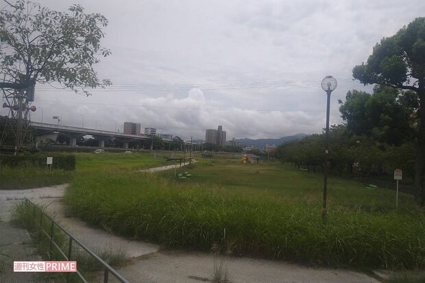 岡村親子が住む団地近くの空き地でホームレス生活をしていた辻和美容疑者