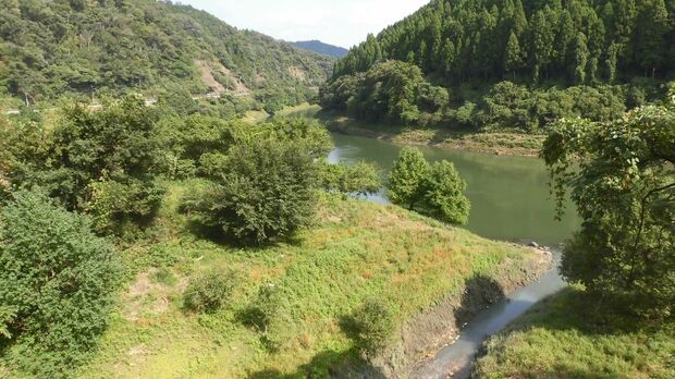 現場は京都と滋賀の府県境の河川敷で緑が生い茂っていた