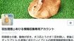 こちらが理恵さんのツイッター(トップ画面)
