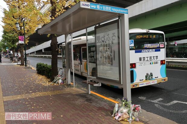 事件現場となった「幡ヶ谷原町」（渋谷区）のバス停（事件当時に撮影）