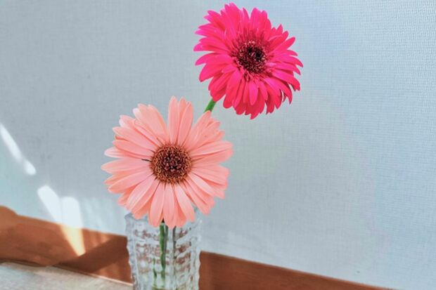 ※写真はイメージです