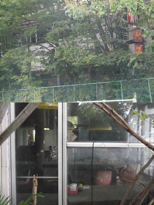 （写真上）現場建物は草木が生い茂り、夜は不気味な雰囲気に（写真下）中には当時のイスなどが置かれていた