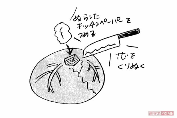 【キャベツ・レタス】芯をくりぬき濡らしたコットンを詰める　イラスト/やのひろこ