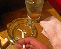 フィフィ、喫煙・飲酒18歳解禁の自民案に苦言「狙いが見え見え」