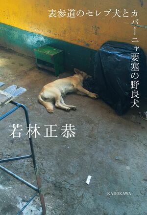 『表参道のセレブ犬とカバーニャ要塞の野良犬』（KADOKAWA刊）1250円（税別）キューバ旅行の5日間を綴った1冊。日本とは異なる景色を“若林節”で描き下ろしたエッセイ　※書影をクリックするとアマゾンの購入ページにジャンプします