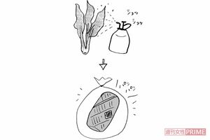日本の食品ロスは年間612万トン おばあちゃんの知恵袋から学ぶ 食材保存 の裏ワザ 週刊女性prime
