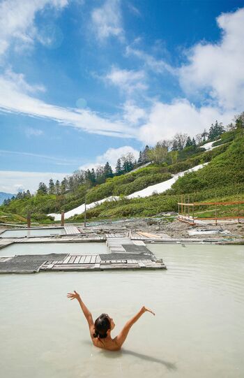 藤七(とうしち)温泉彩雲荘(岩手県)
