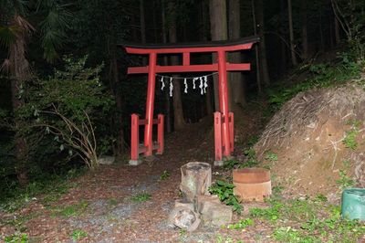 おいらん淵、東京湾観音、神流湖…恐怖の心霊スポットに潜入取材