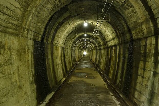 ミュージックビデオの撮影がよく行われている軽便鉄道廃線跡の横田トンネル群　写真提供／武蔵村山観光まちづくり協会