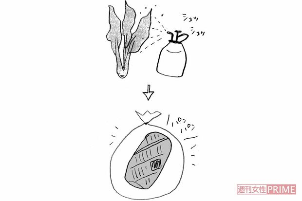 【ほうれん草・小松菜】新聞紙&ビニールで包み息をひと吹き　イラスト/やのひろこ