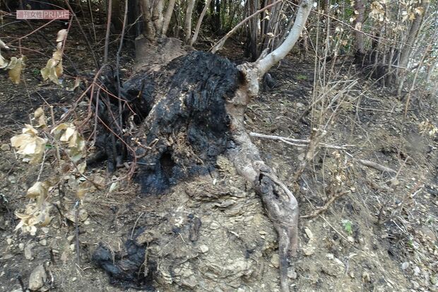 島田容疑者が逮捕された現場とは別の焼け跡。付近では最近、不審火による放火が相次いでいた