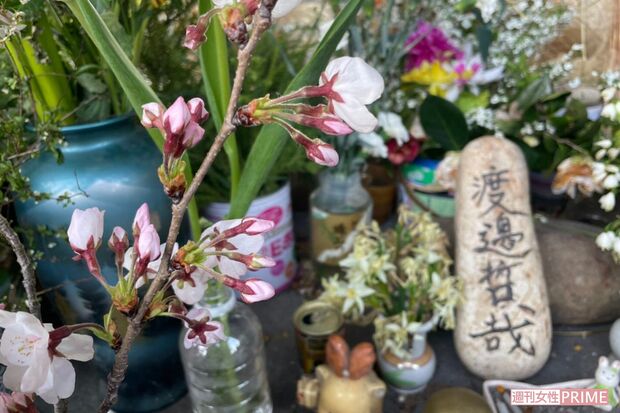 渡邉さんとアイさんが暮らしていた河渡橋西詰の下に置かれた献花台　撮影／小関千恵